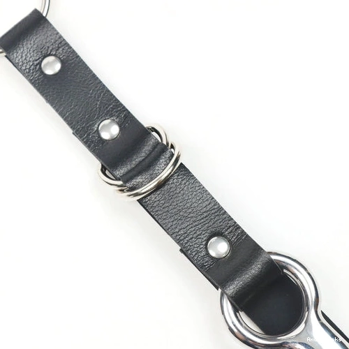 Anal Hooks Collar with Anal Leash EverydayUse and 5853 Hook Kinky 0817